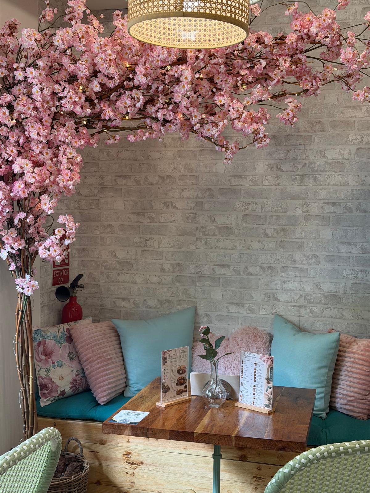 Mesa de madera con la carta de brunch marroquí y cerezo en flor en Mediterránea Café Zaragoza