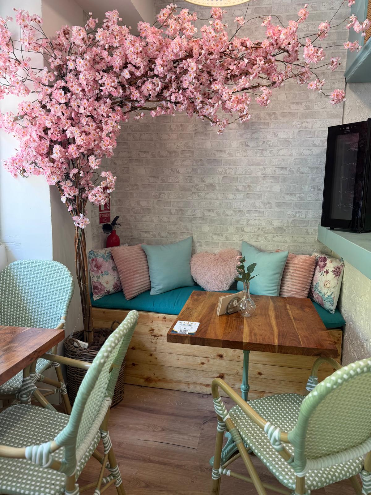 Rincón con sofá de madera, cojines rosas y turquesa bajo un cerezo en flor en Mediterránea Café Zaragoza